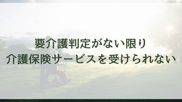 要介護判定がない限り介護保険サービスを受けられない