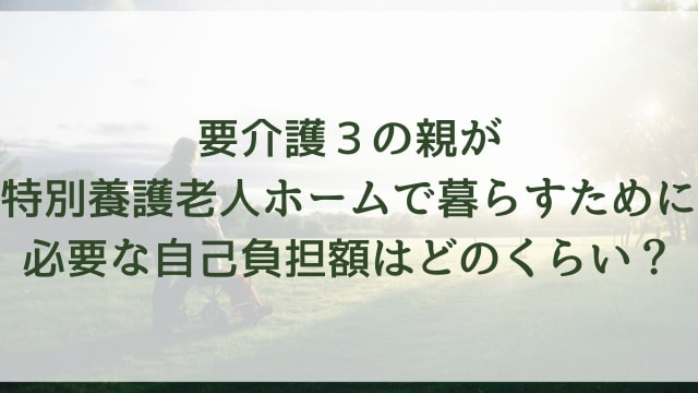 要介護３の親が特別養護老人ホームで暮らすために必要な自己負担額はどのくらい？